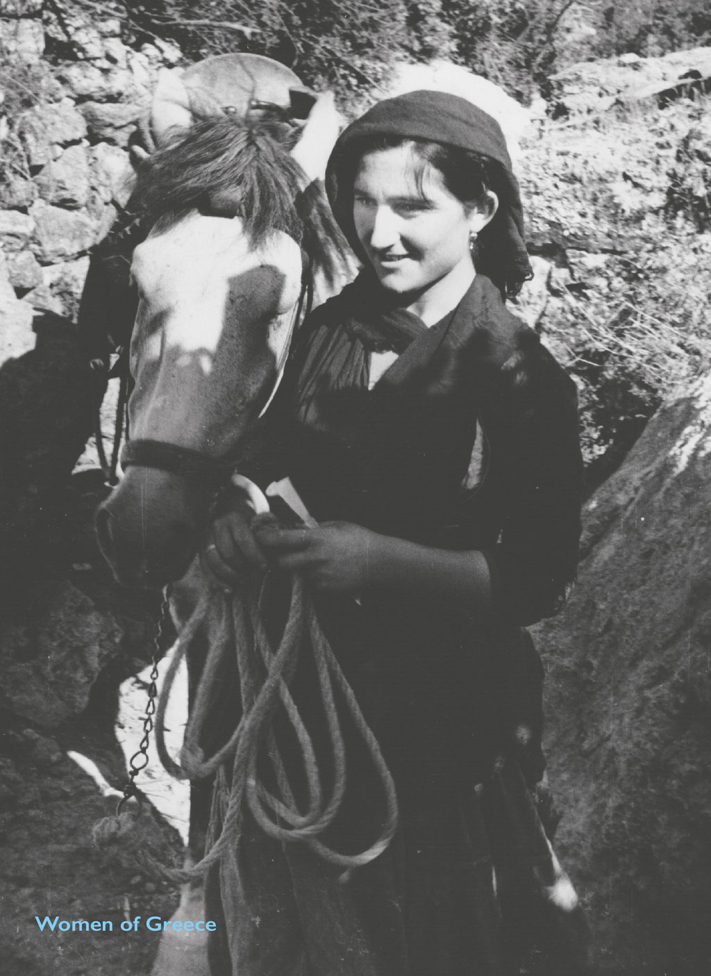 The girl and the horse - Post card