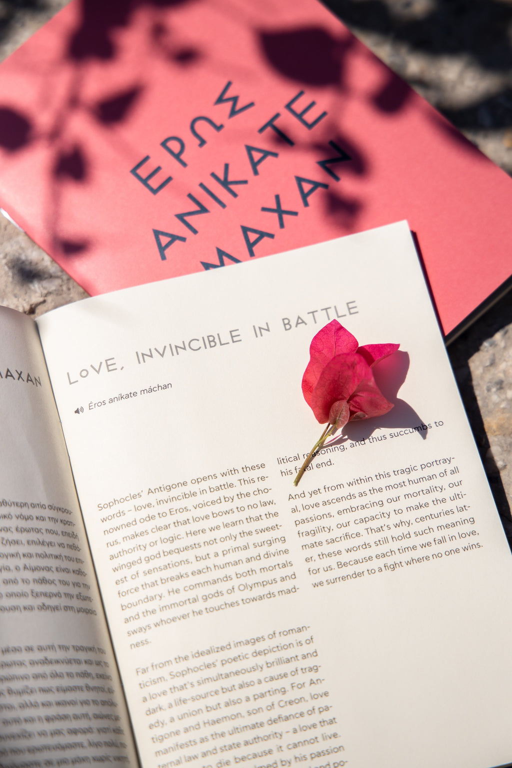 Eros anikate maxan - Notebook